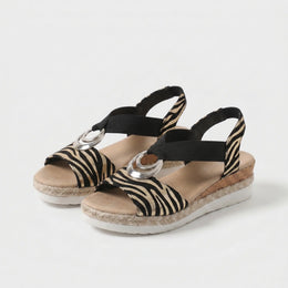 Classic Zebra